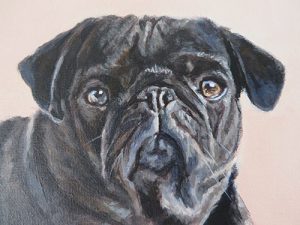 dog portrait detail