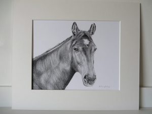 mounted drawing