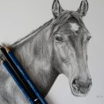 horse drawing