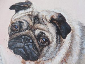 dog portrait detail