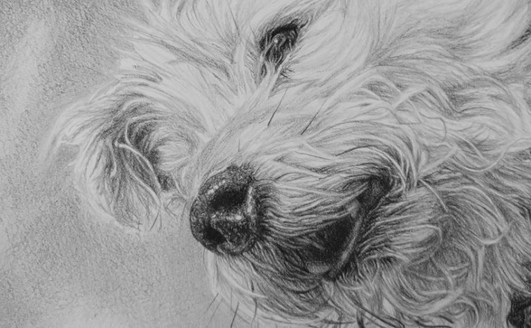 detail of a pet portrait