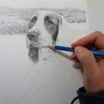 dog drawing progress