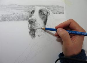 dog drawing progress