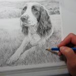 dog drawing progress