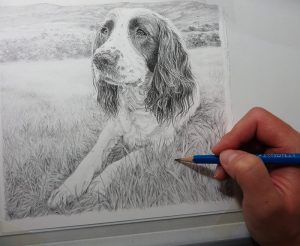 dog drawing progress