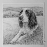 dog portrait drawing