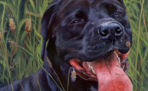 acrylic dog portrait detail