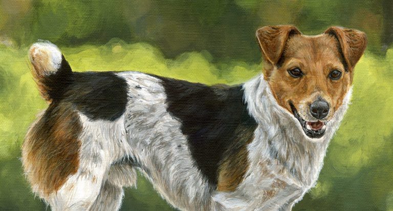close up view of a jack russell painting