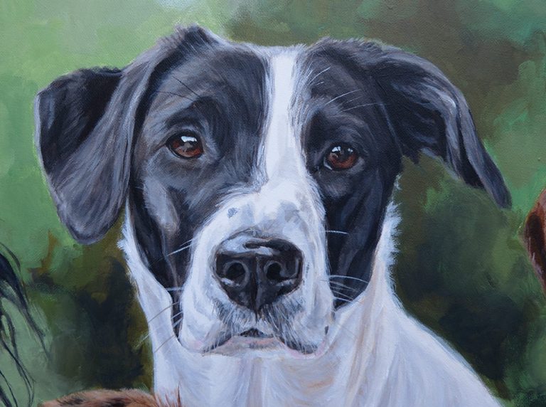 pointer labrador cross dog portrait