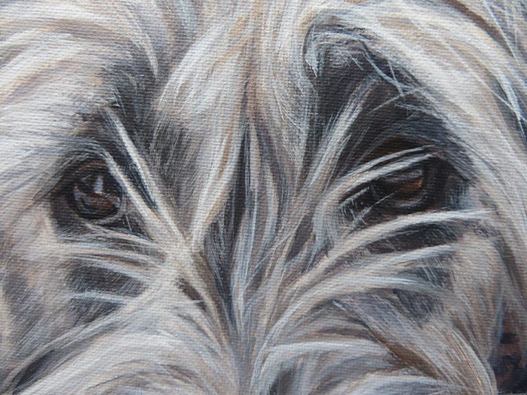 close up view of dog painting
