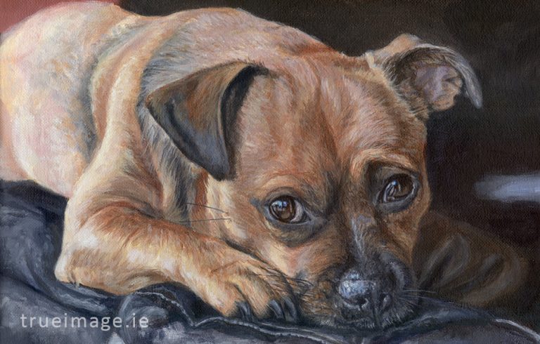 tan jack russell dog painting detail