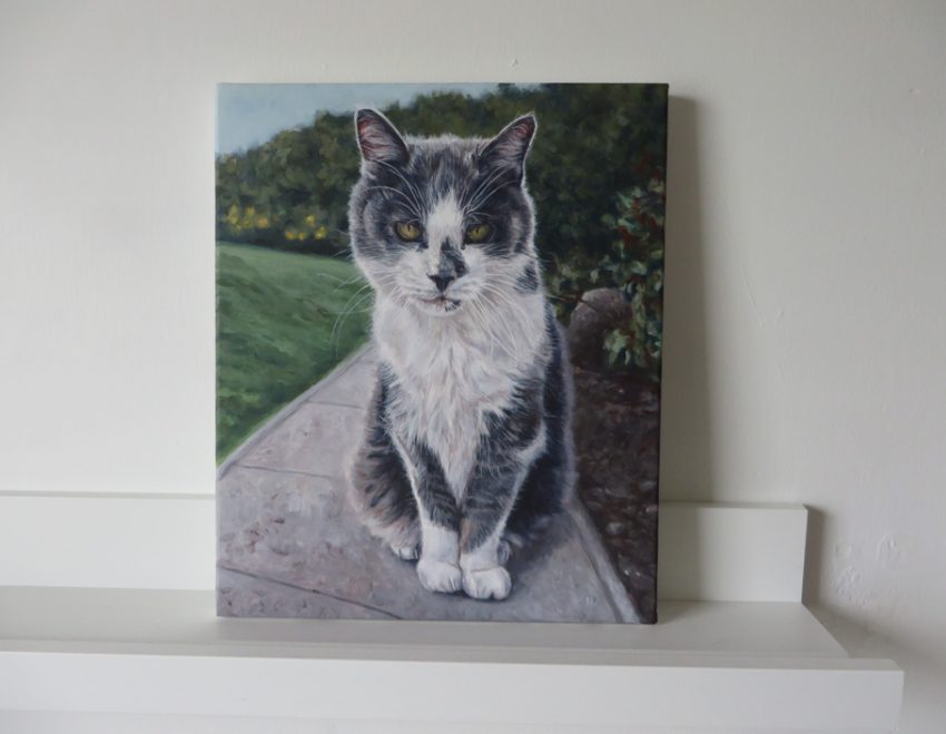 cat portrait painting on canvas
