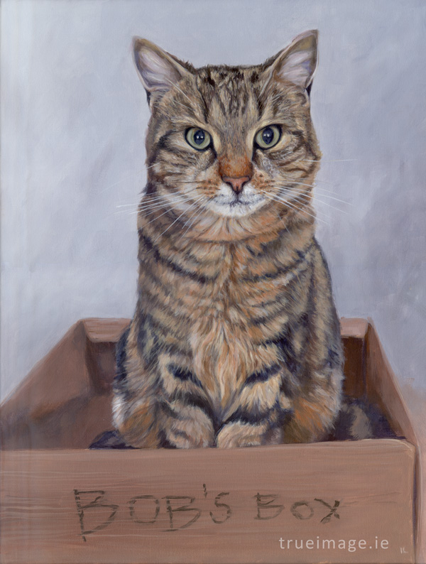 cat pet portrait painting in acrylic on stretched canvas