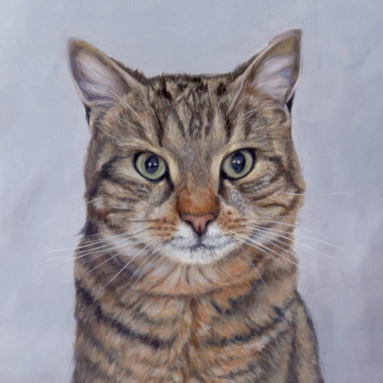 cat painting detail