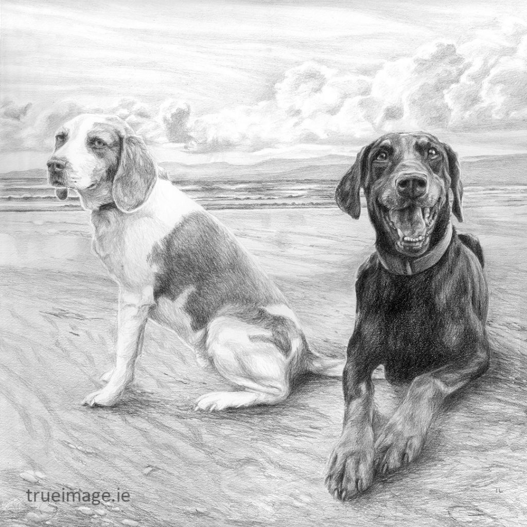 beagle and doberman dog sketch