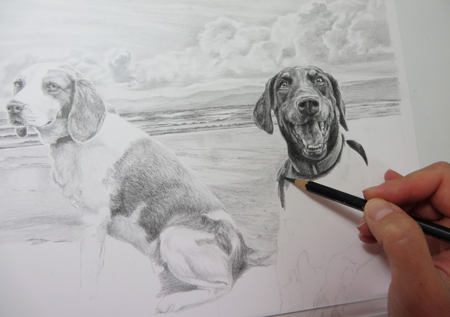 dog sketch in progress