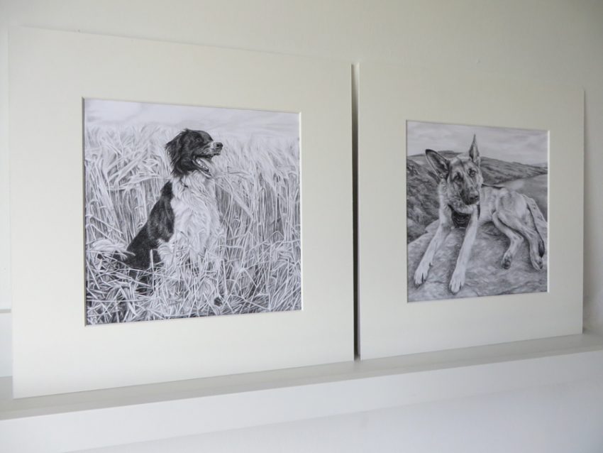 two mounted dog portrait drawings on paper