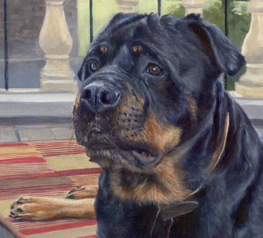 detailed view of a rottweiler dog