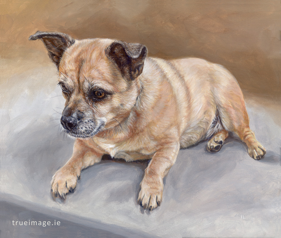 dog portrait painting ireland