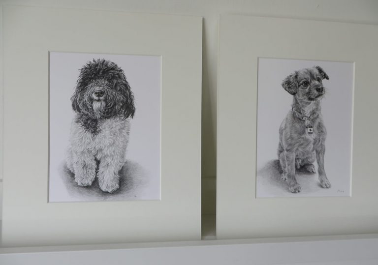 two mounted dog drawings