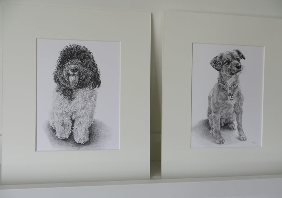 two mounted dog drawings