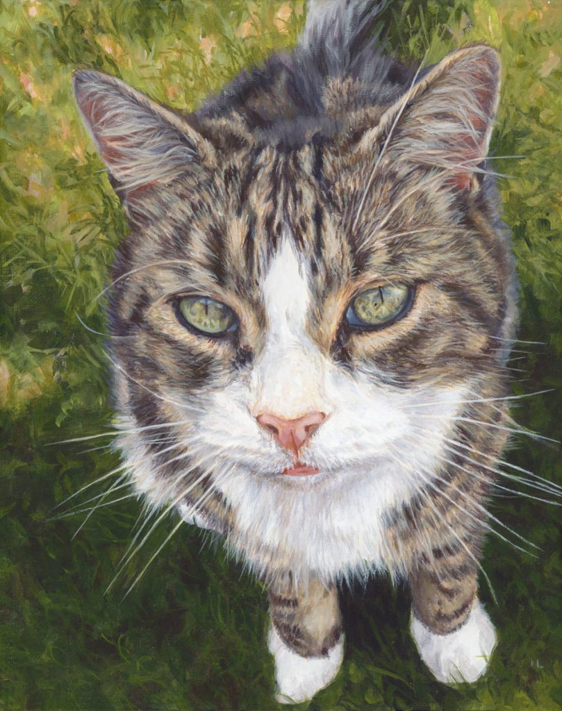 tabby cat pet portrait painting