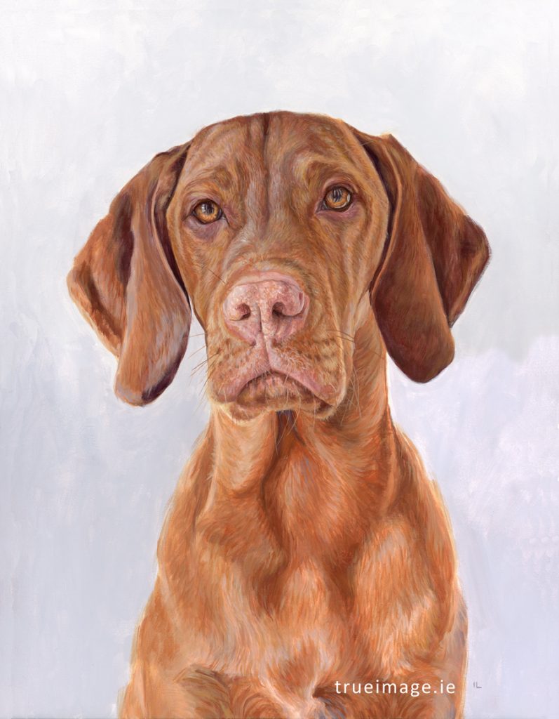 velcro dog painting acrylic