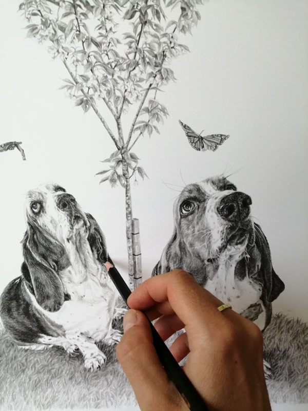 shading progress on a dog portrait