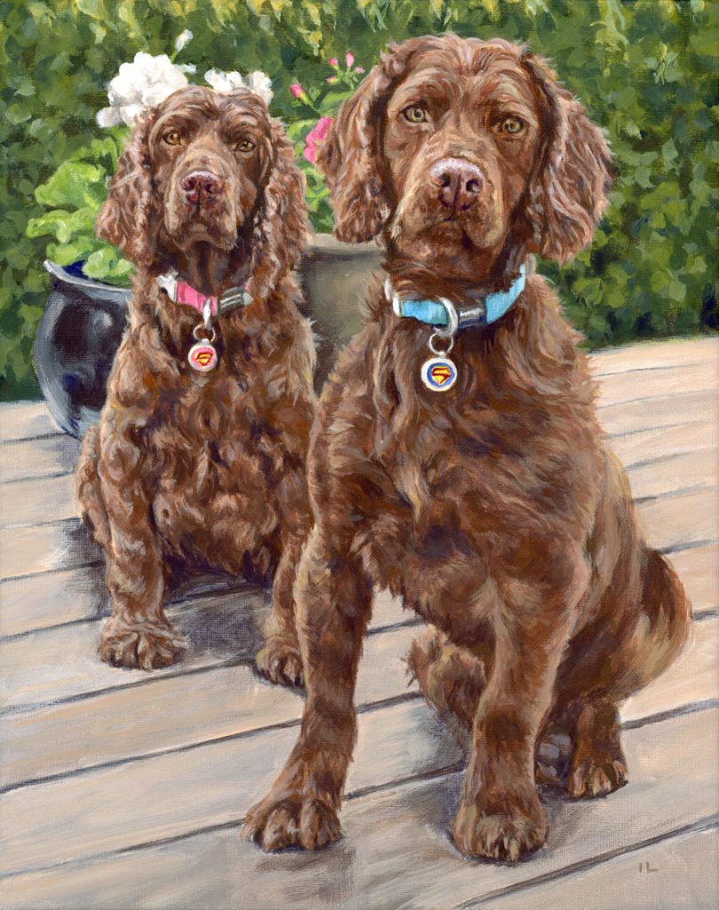 acrylic portrait painting of two chocolate brown cocker spaniel dogs