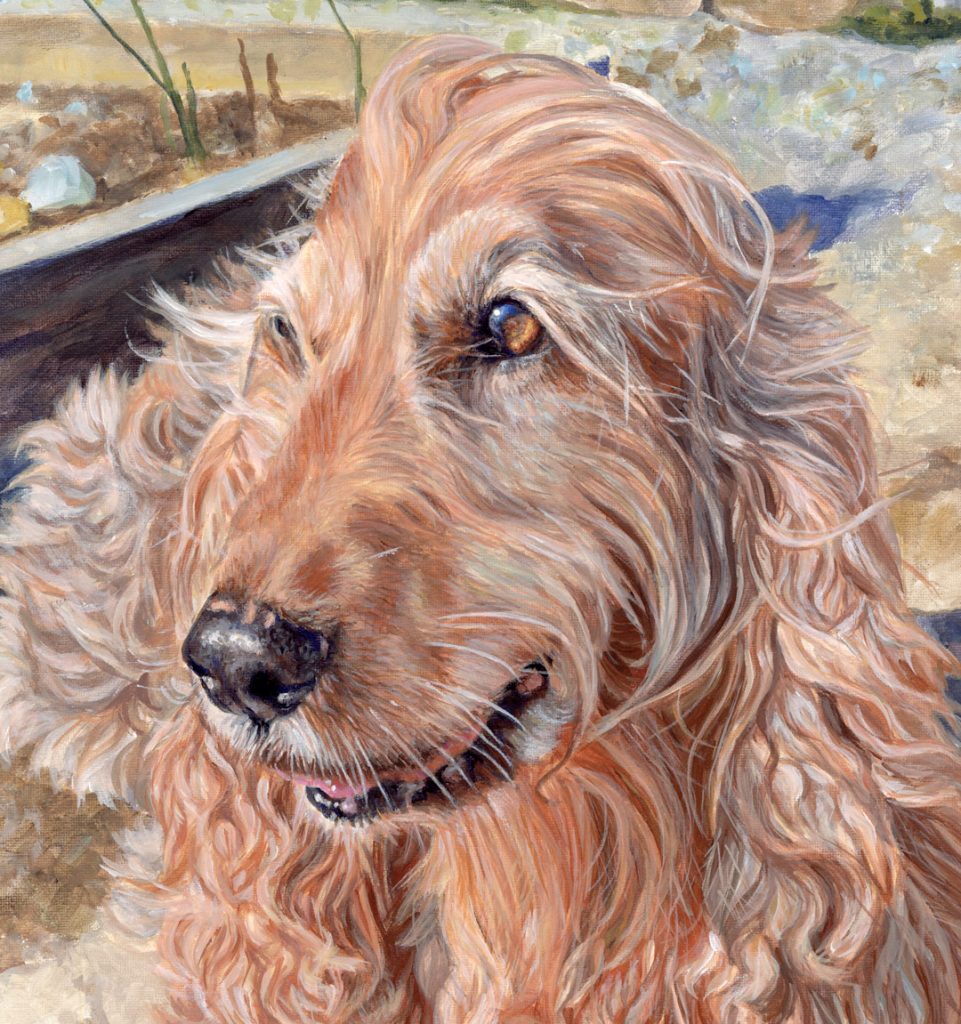 detail of an acrylic painting of an english cocker spaniel