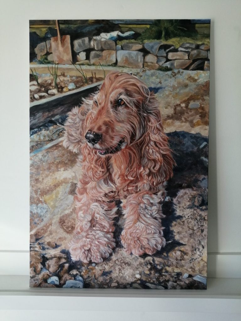 finished cocker spaniel dog portrait on canvas