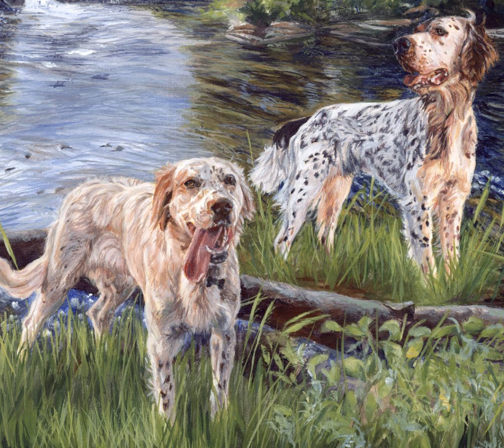 english setter dog portrait detail