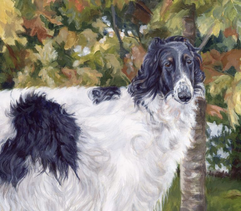 detail of the dog portrait