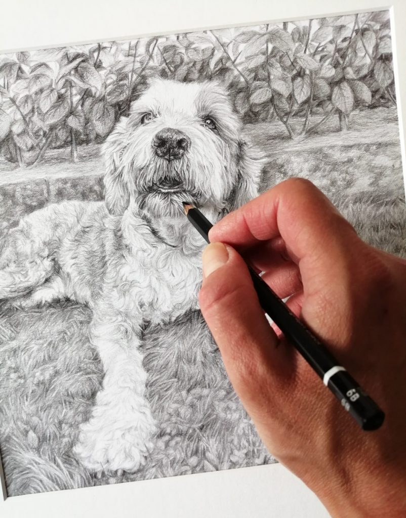 graphite pencil drawing a puppy from a photo