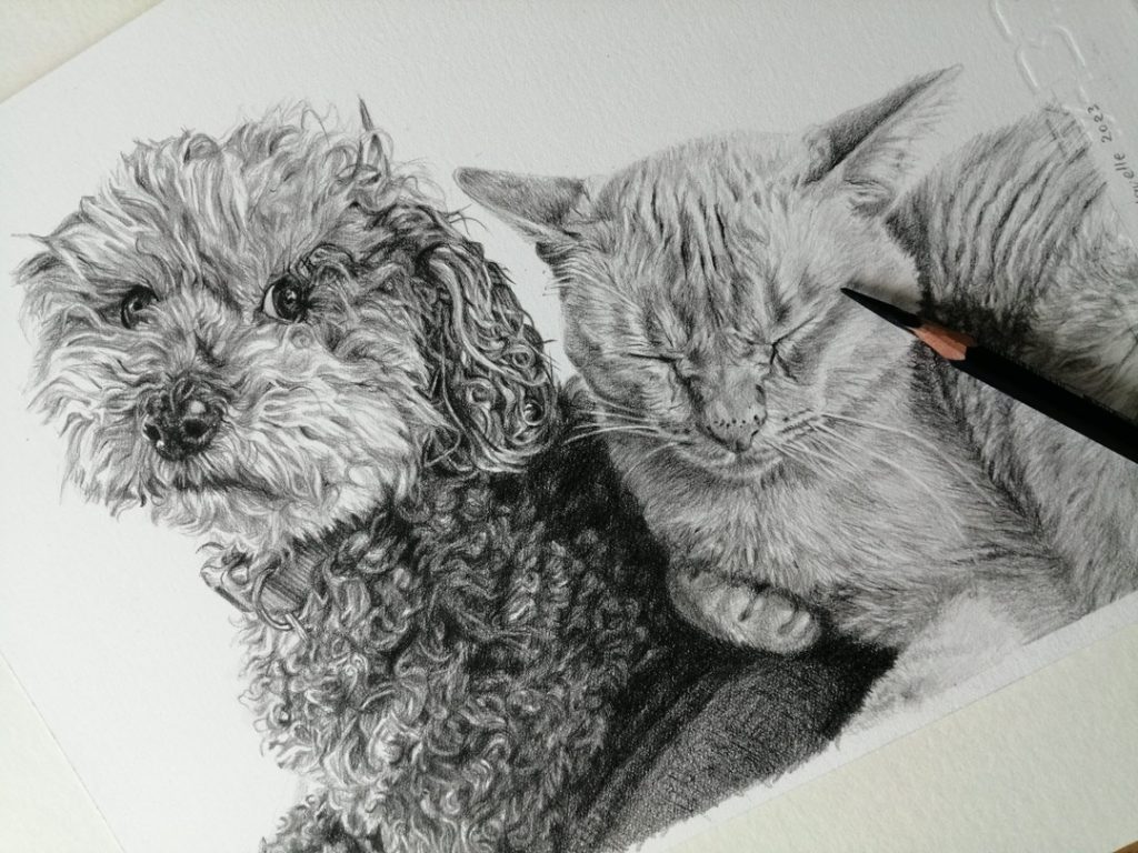 Draw realistic pencil portrait of your cat ,dog or any pet by Moncefart |  Fiverr