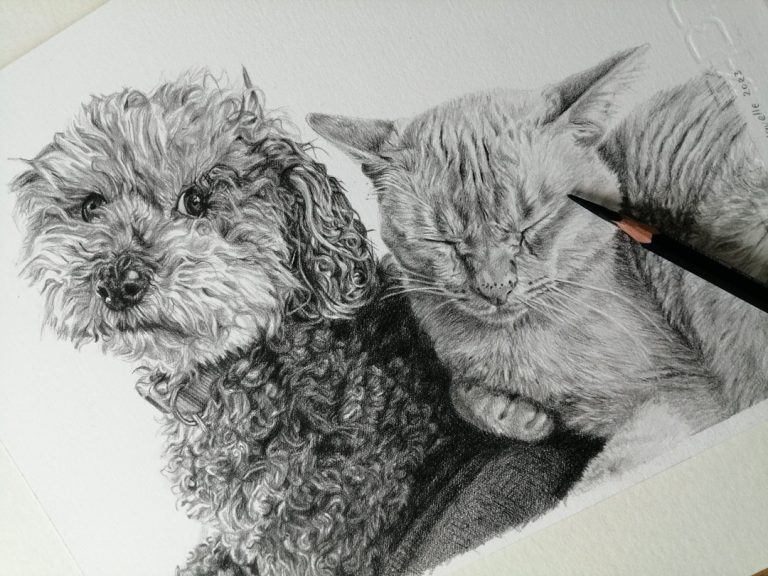 dog and cat pet portrait in pencil