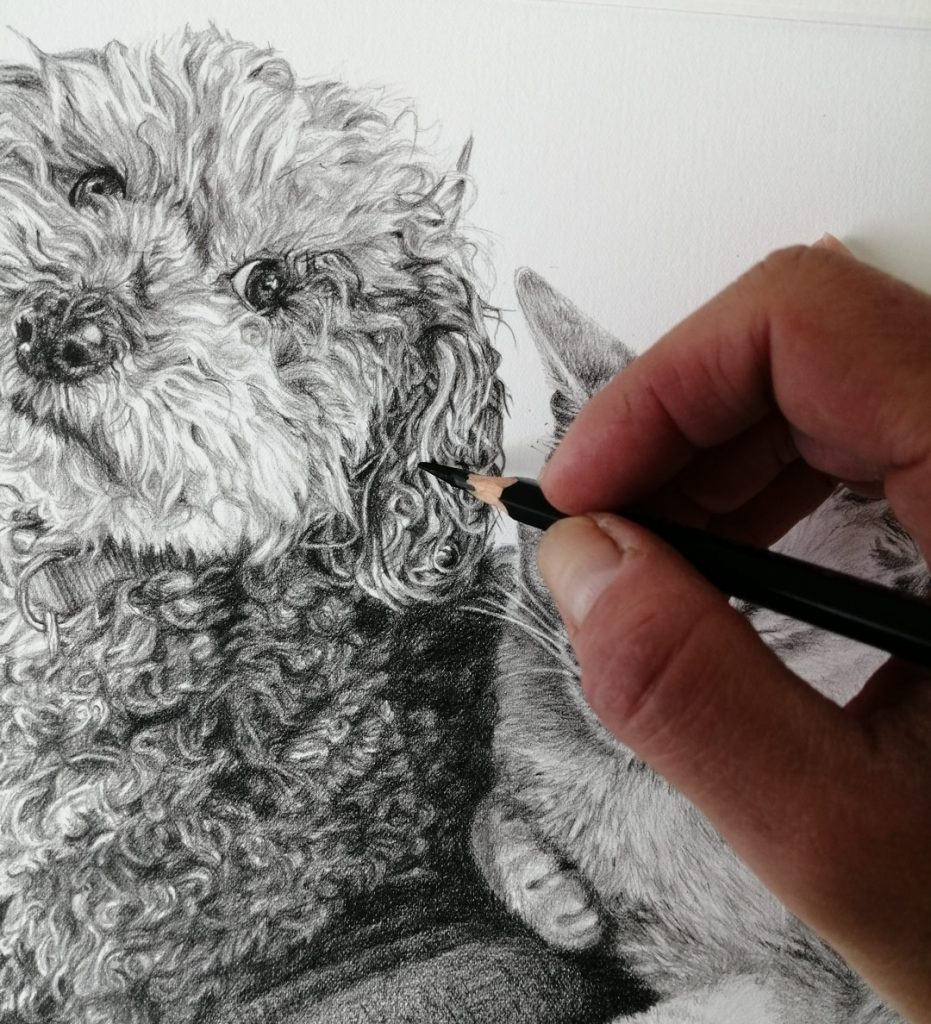 adding detail in pencil
