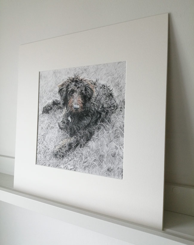 detailed view of the mounted pet portrait drawing