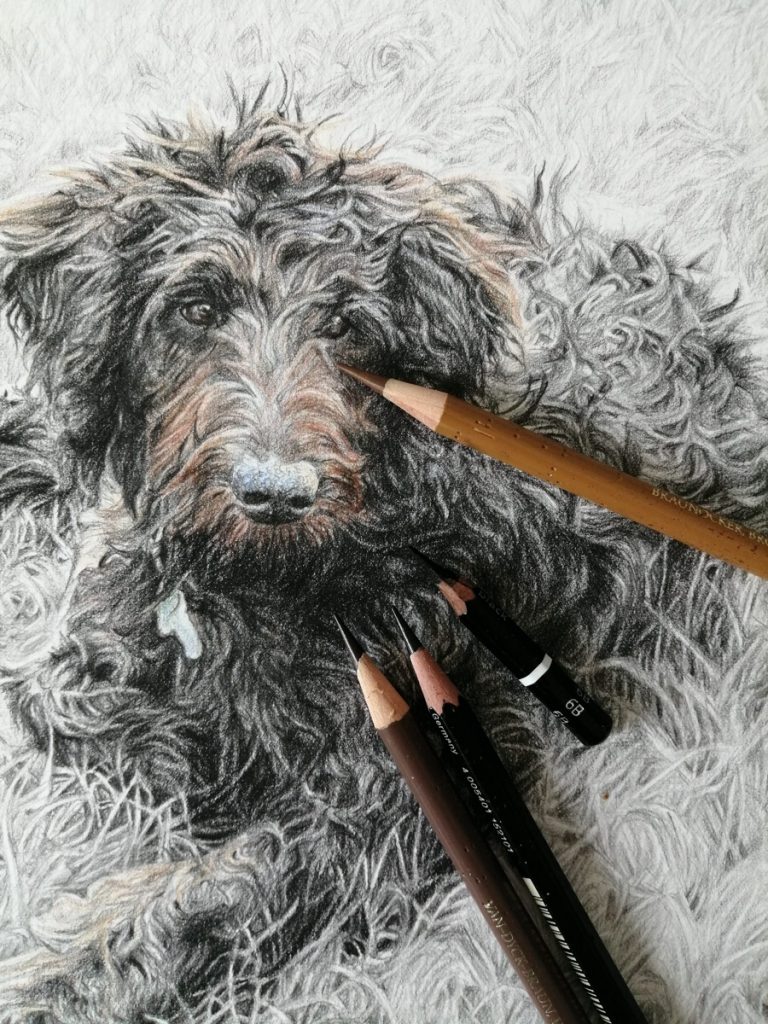 dog portrait sketch with drawing pencils