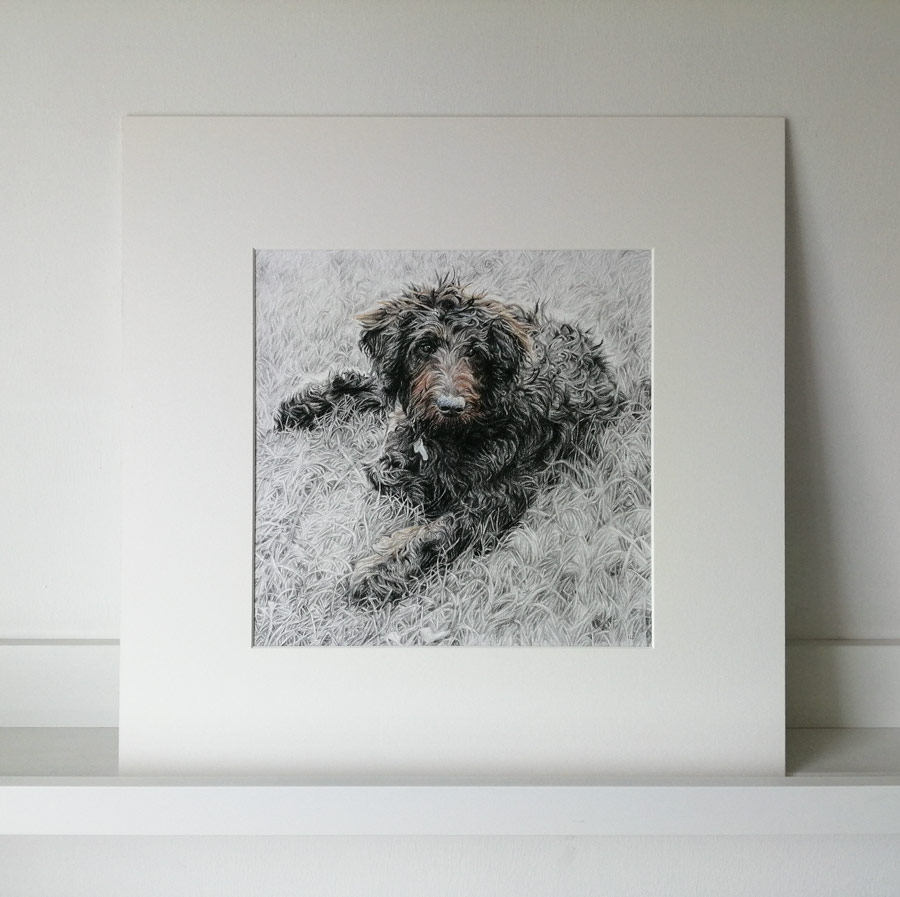 pencil drawing of a golden doodle in a mount