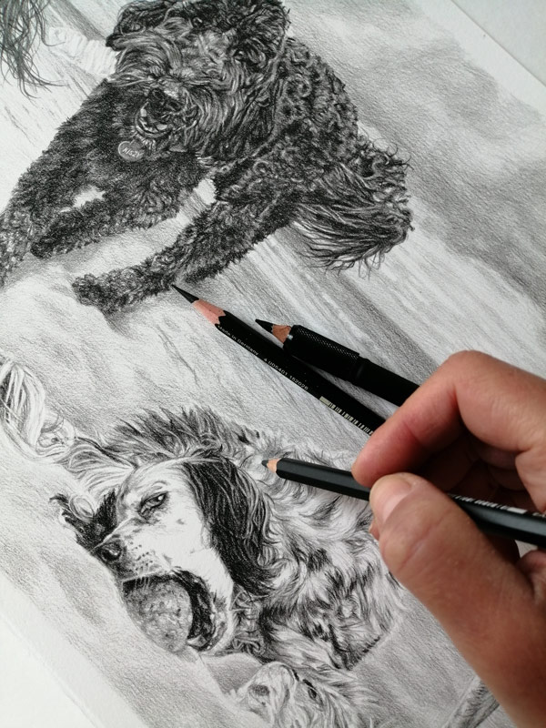 detailing a pencil dog sketch