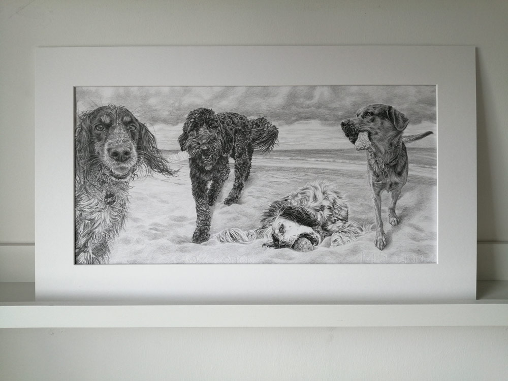four dogs drawing in pencil on paper, mounted