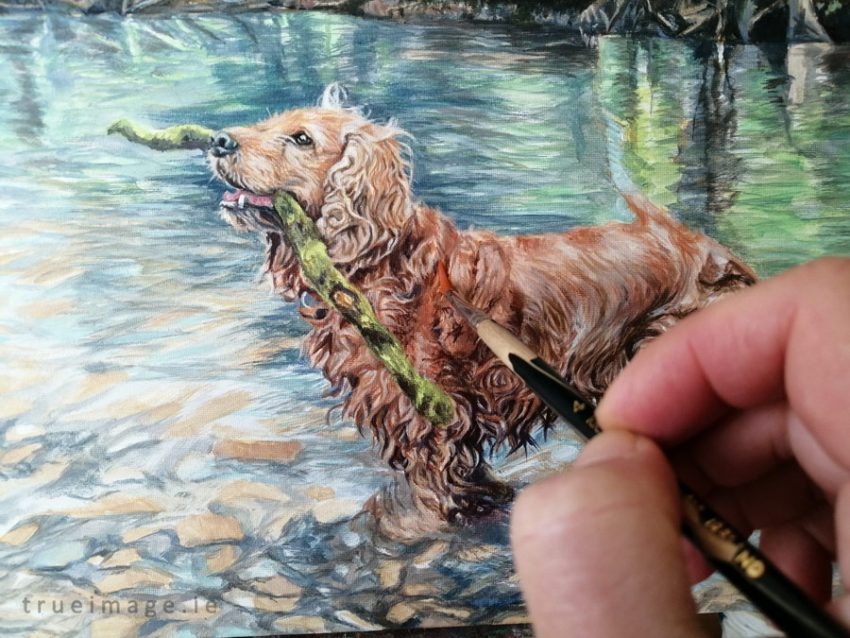 cocker spaniel dog portrait in acrylic