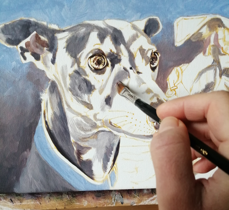 adding colour blocking to the grey whippet dog painting