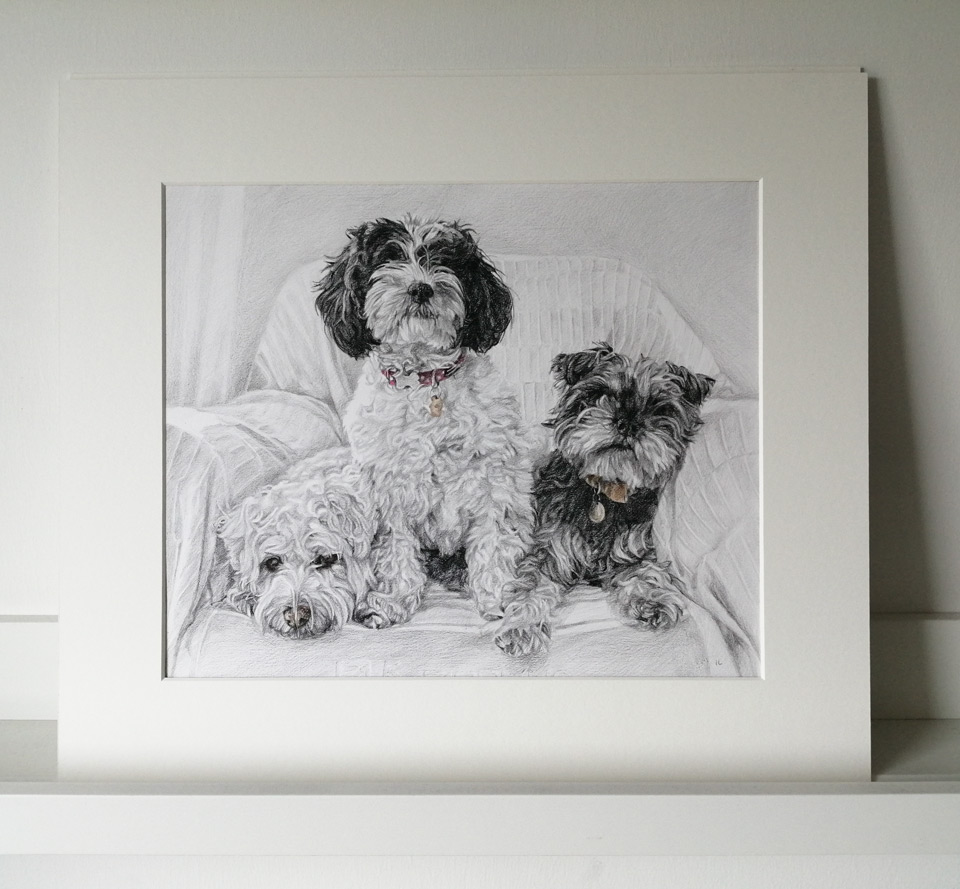 finished mounted dog portrait sketch