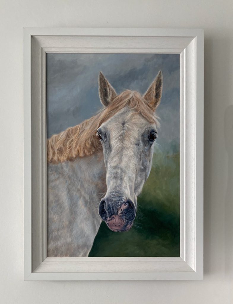 framed painting of a grey mare pony by a equine portrait painter in kildare ireland