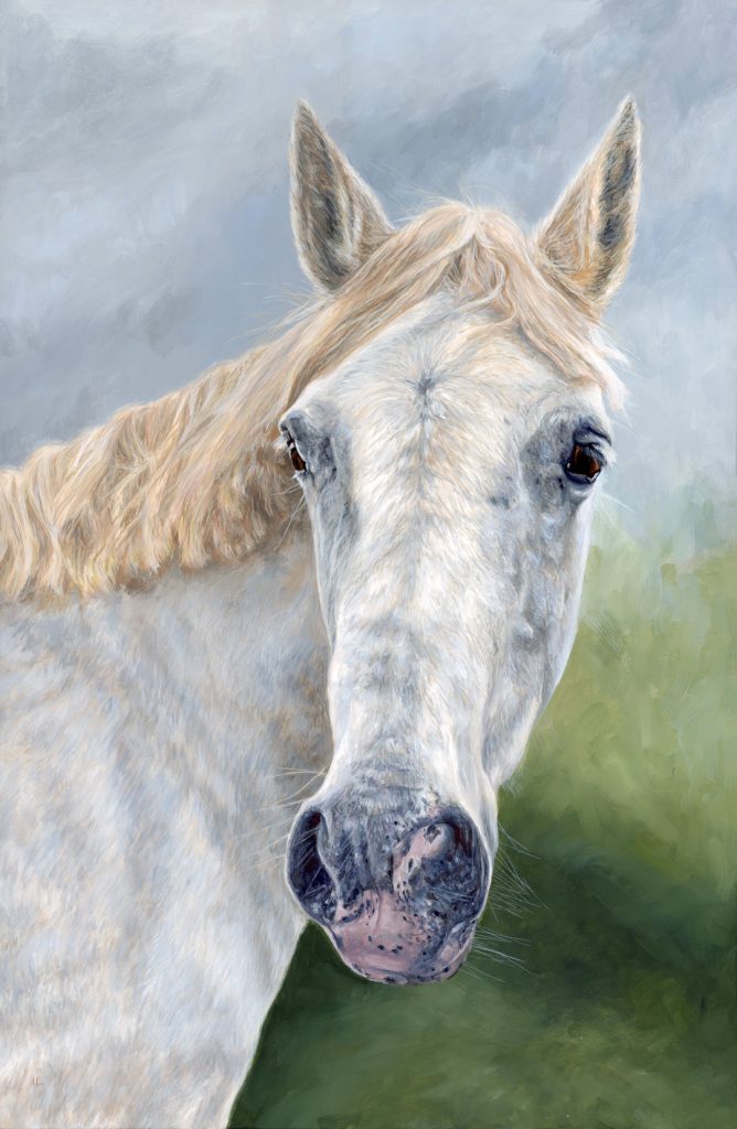 grey horse portrait painting by a portrait artist from a photo