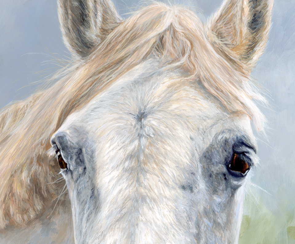 detail of the painting of a grey horse