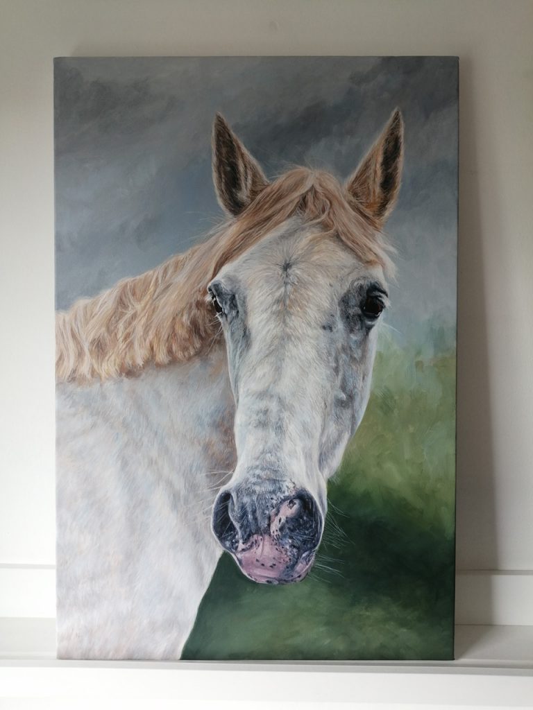 grey mare portrait painting on stretched canvas