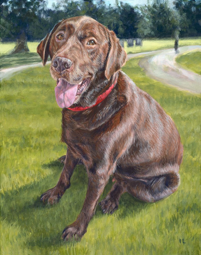 large brown dog pet portrait in acrylic on canvas